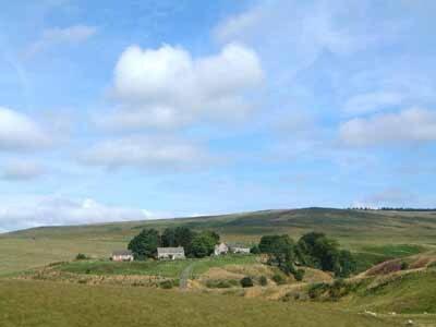Rowan Cottage-80119 Catcleugh Dış mekan fotoğraf